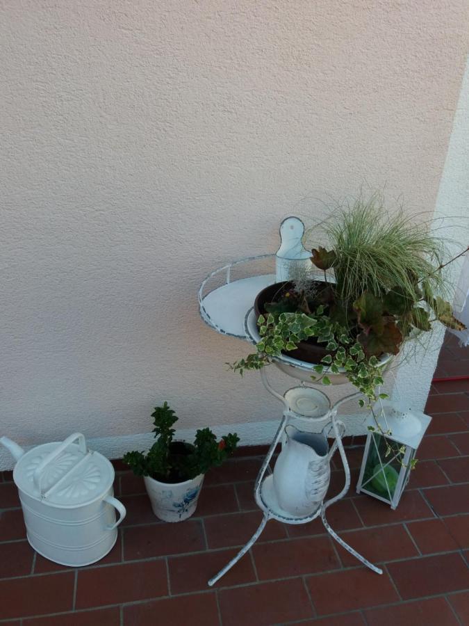 Wohnung Mit Charme In Pinsdorf Exterior photo