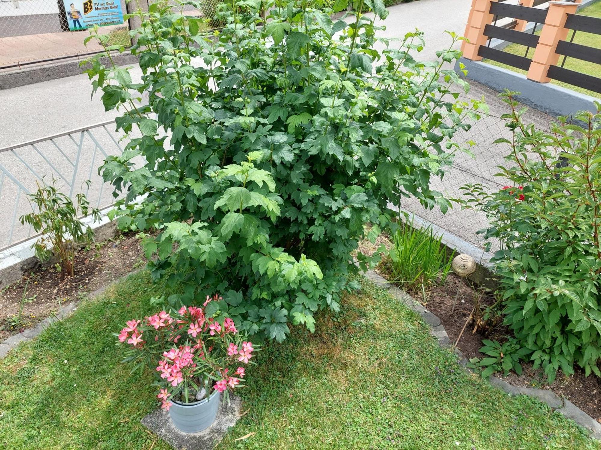 Wohnung Mit Charme In Pinsdorf Exterior photo