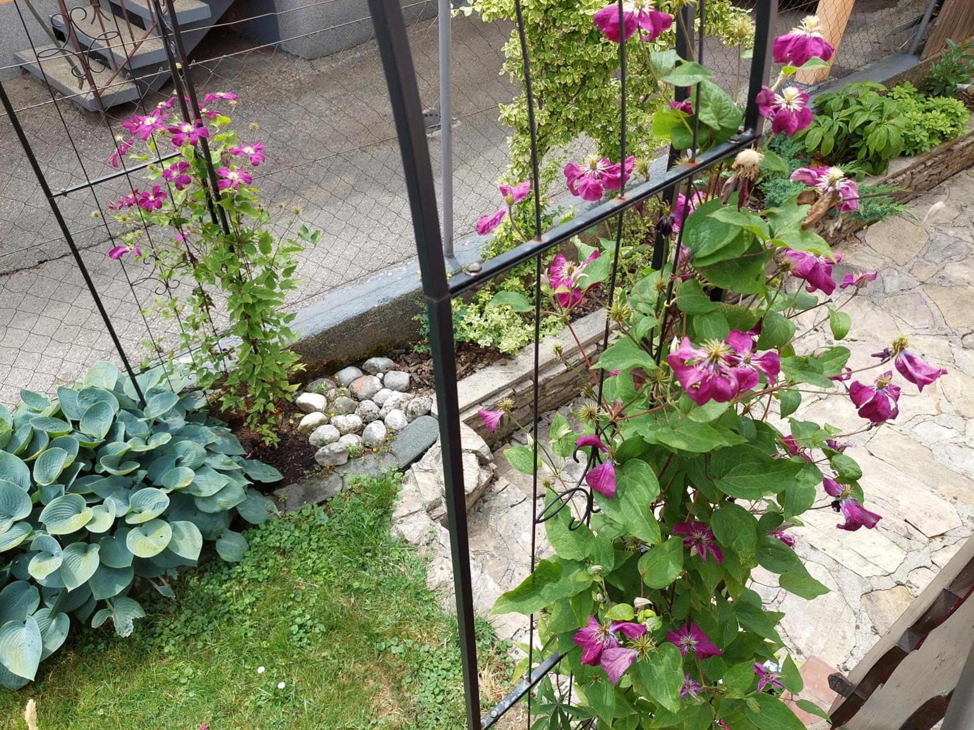 Wohnung Mit Charme In Pinsdorf Exterior photo