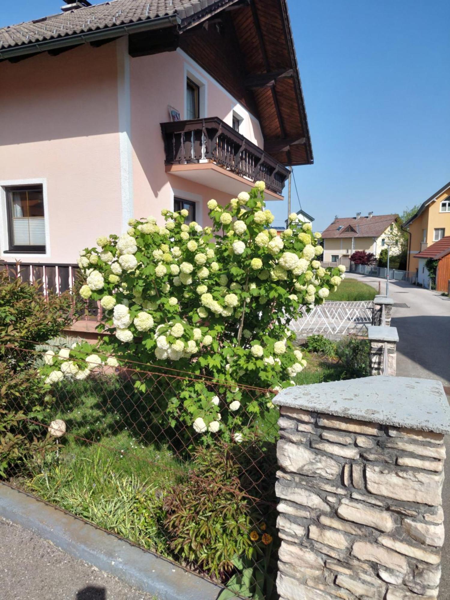 Wohnung Mit Charme In Pinsdorf Exterior photo